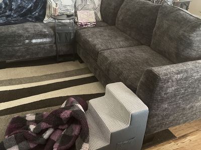 Couch with Chase