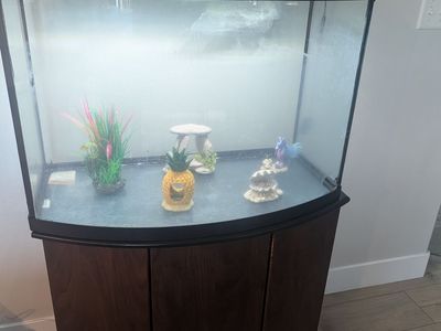 35 gallon fish tank with stand