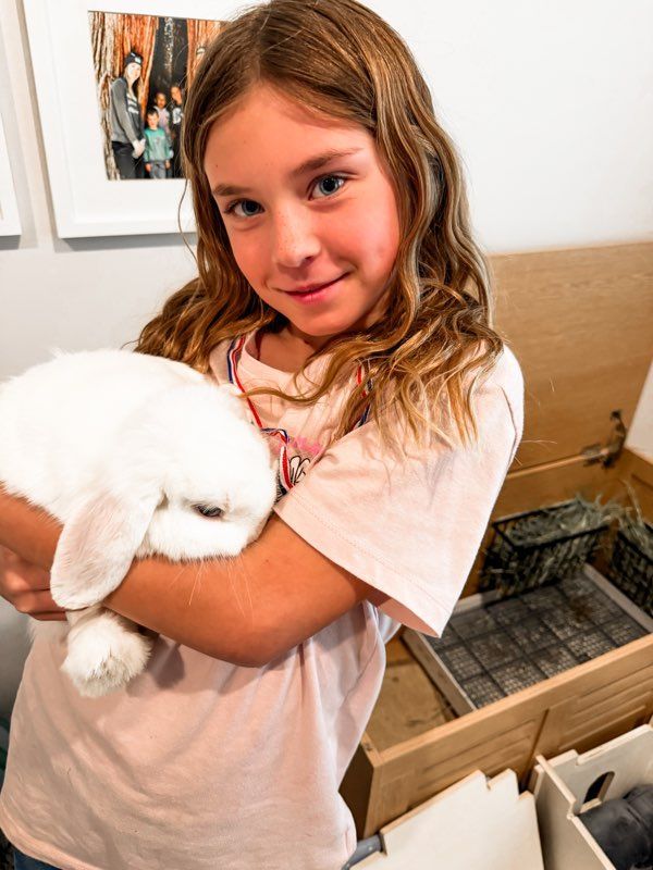 Everything, including the two rabbits, is $150.