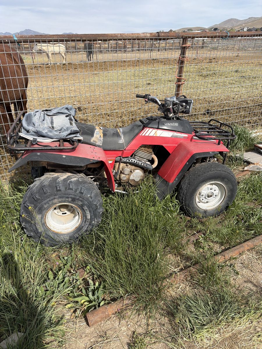 Honda 4trax 250