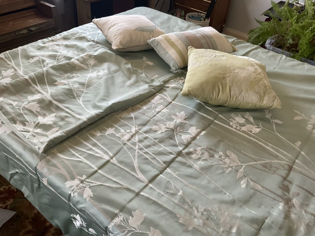 Down Queen Green And Blue Quilt Set