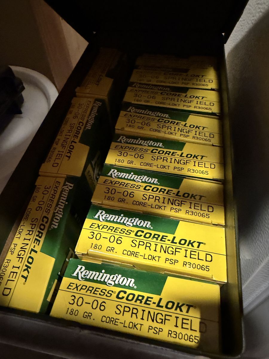 Remington Core Lokt 180gr .30-06