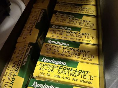 Remington Core Lokt 180gr .30-06