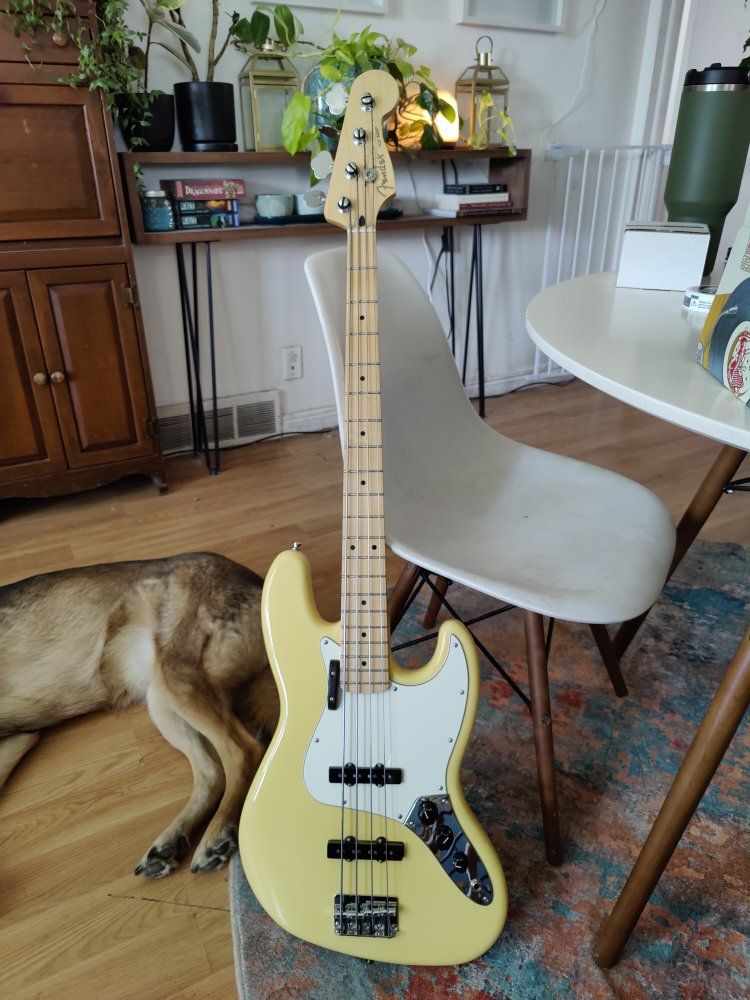 Fender jazz bass