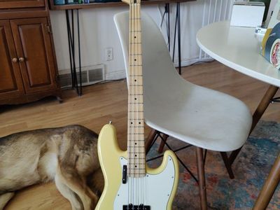 Fender jazz bass