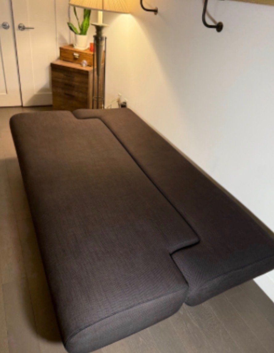 futon couch/bed