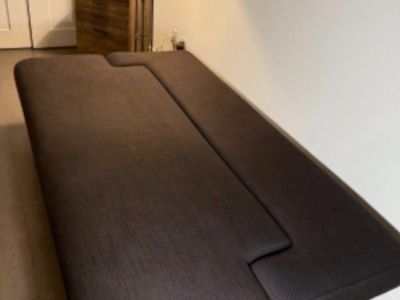 futon couch/bed