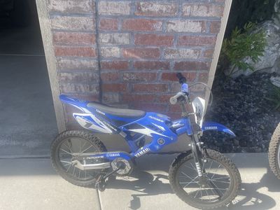 Boys Bike - Looks like a motorcycle but is pedal