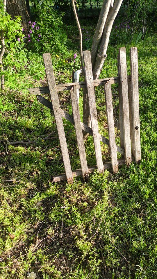 Cute Vintage Garden Gate