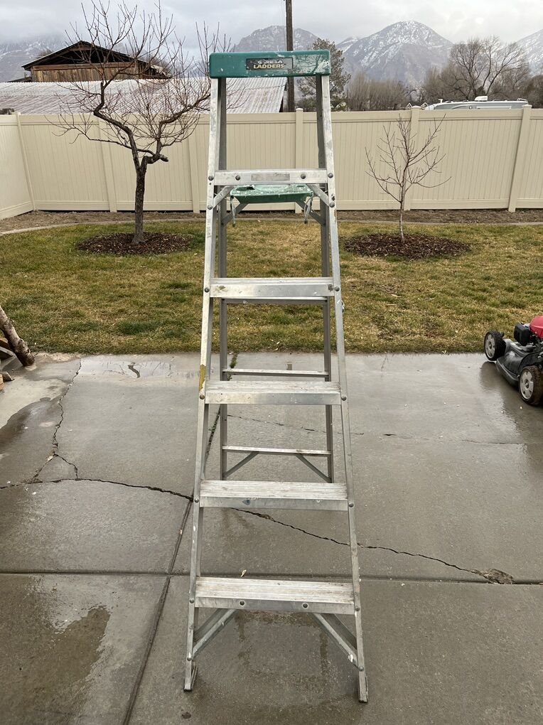 6ft Folding Step Ladder