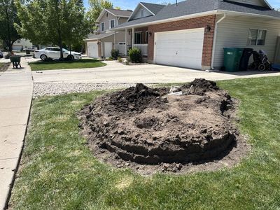 Free dirt