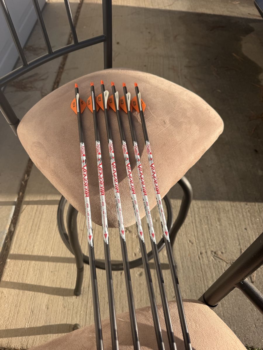 Scheels Vendetta Arrows