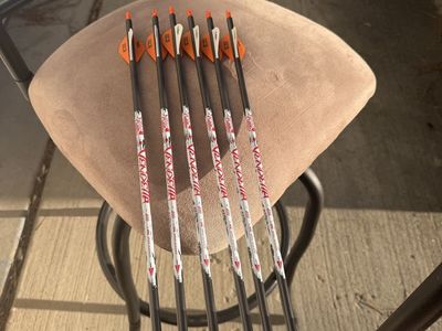 Scheels Vendetta Arrows