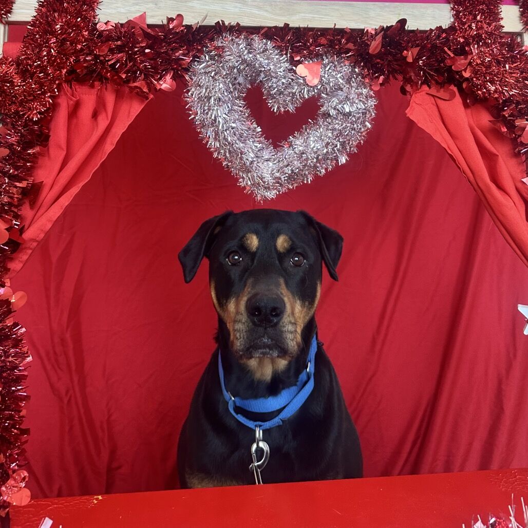 Hello my name is Jewels