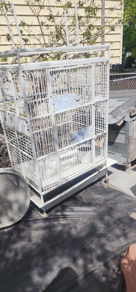 Antique Bird Cage
