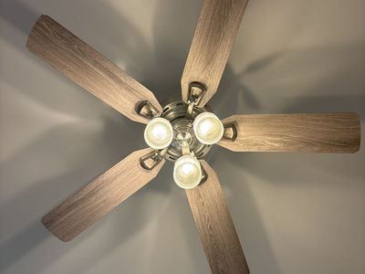 Hunter Ceiling Fan Modern