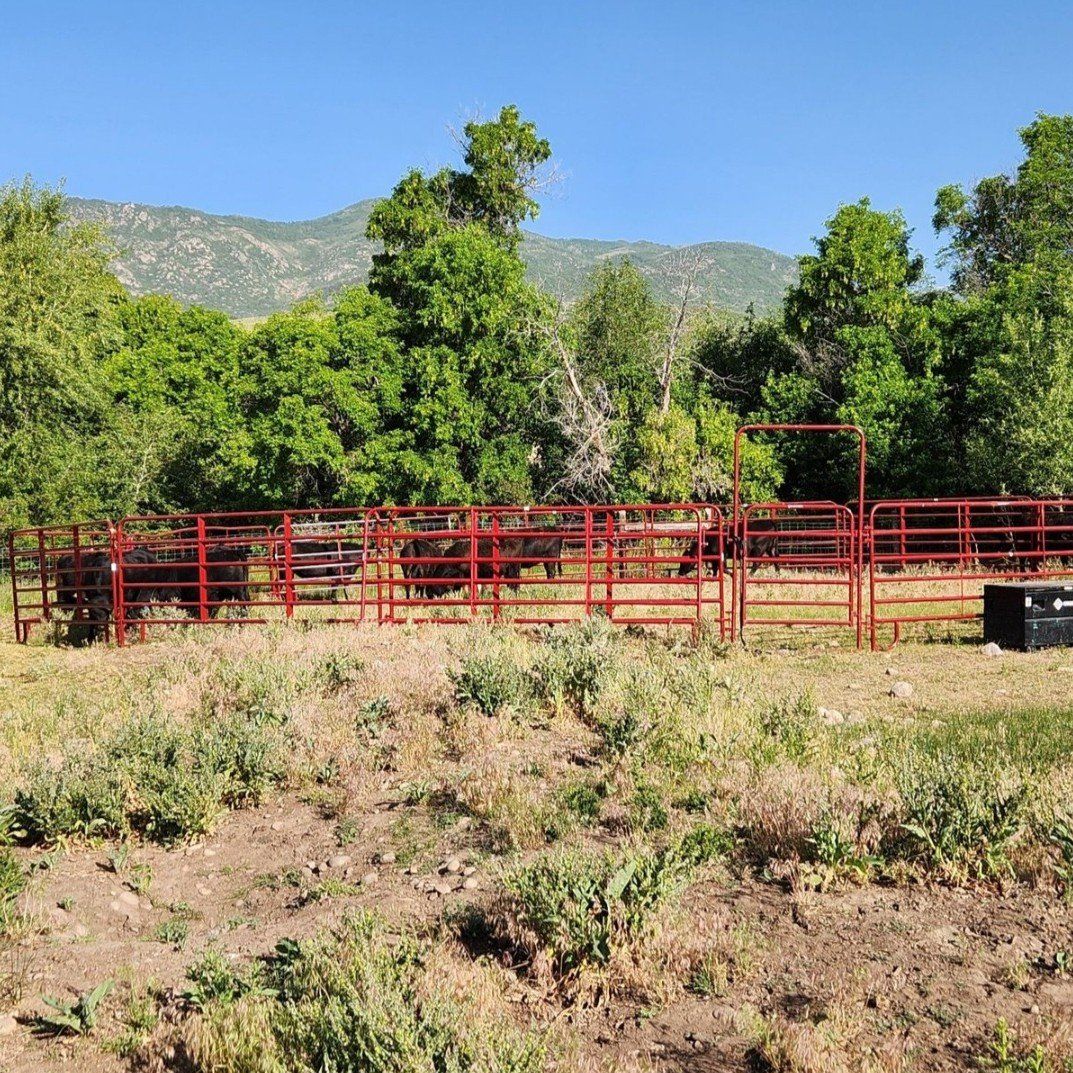 Tarter round pen horse/cattle panels