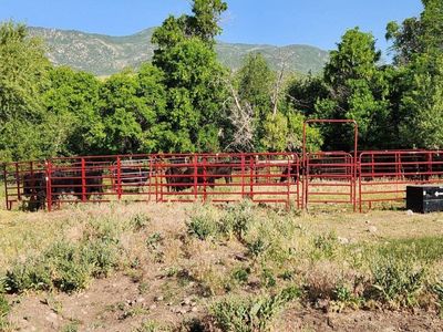 Tarter round pen horse/cattle panels