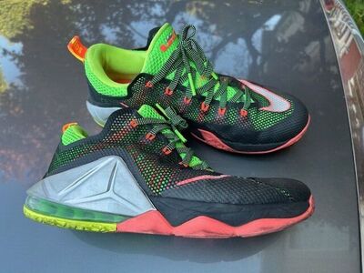 Lebron Basketball Shoes