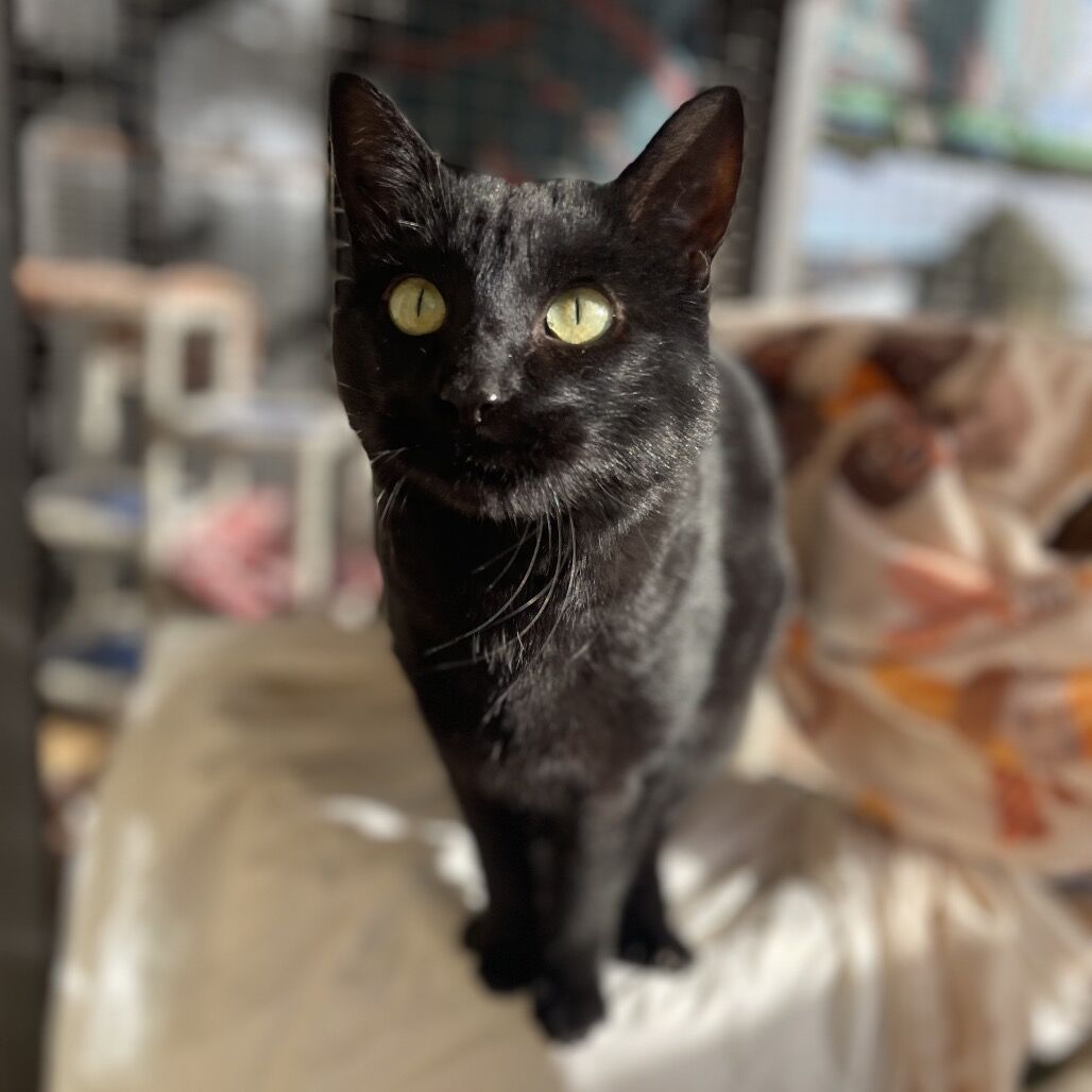 Hello my name is Samara