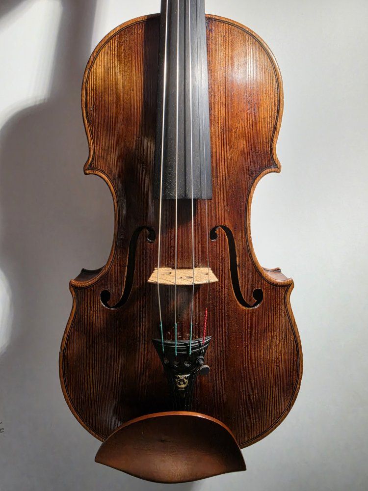 Main image 6