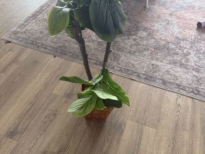 Fake plant 3 ft tall
