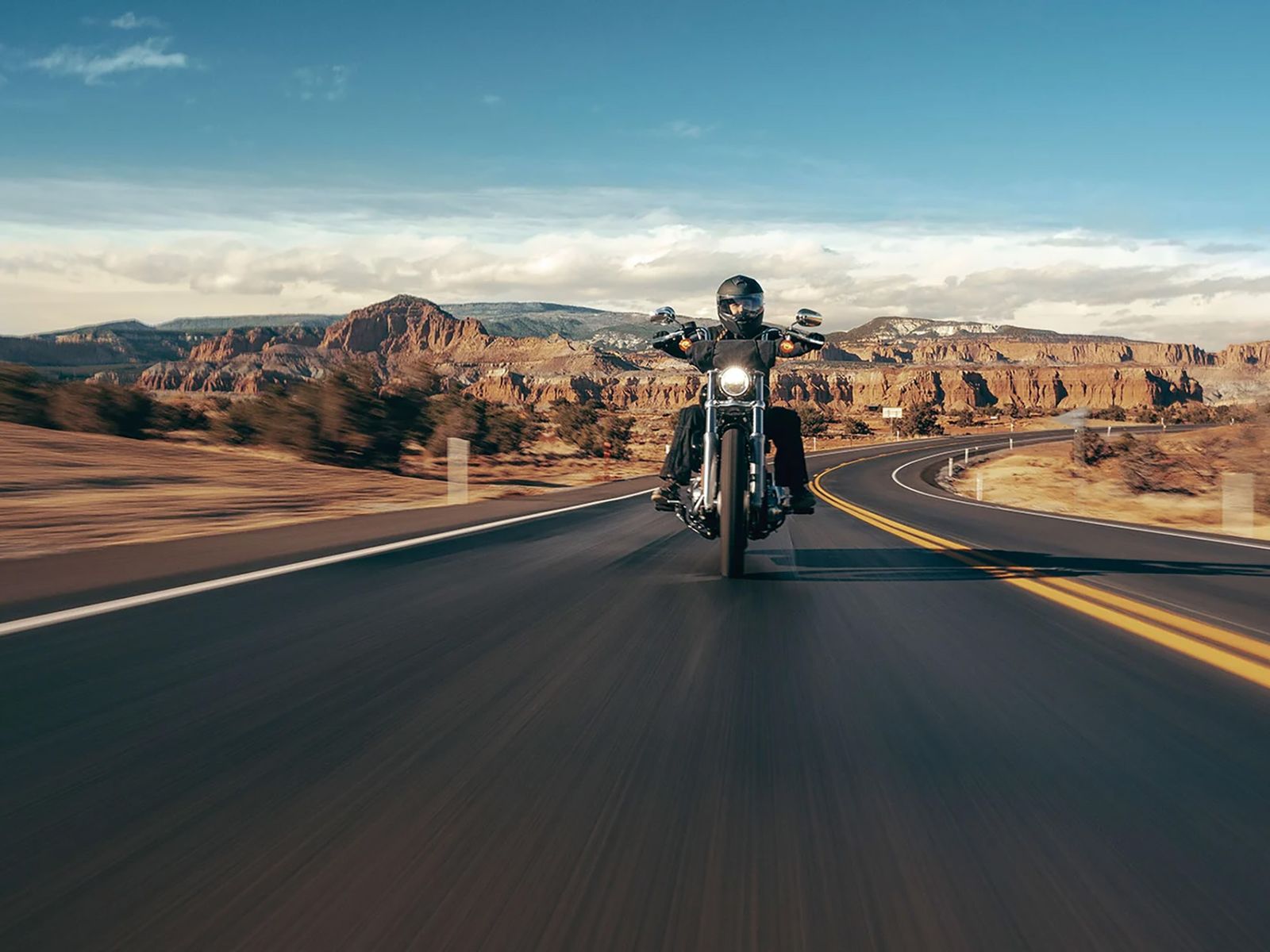 Harley-Davidson 2023 Softail Standard