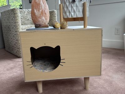Enclosed cat box 16x20x17in