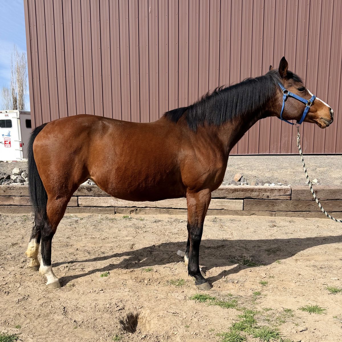 **Future Fortunes Eligible Barrel & Performance Prospect**