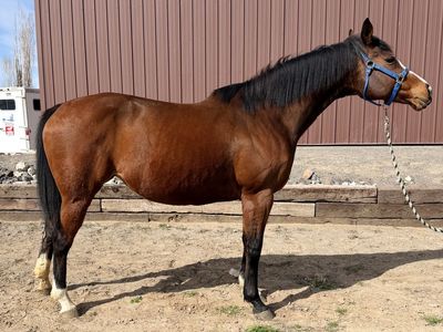 **Future Fortunes Eligible Barrel & Performance Prospect**