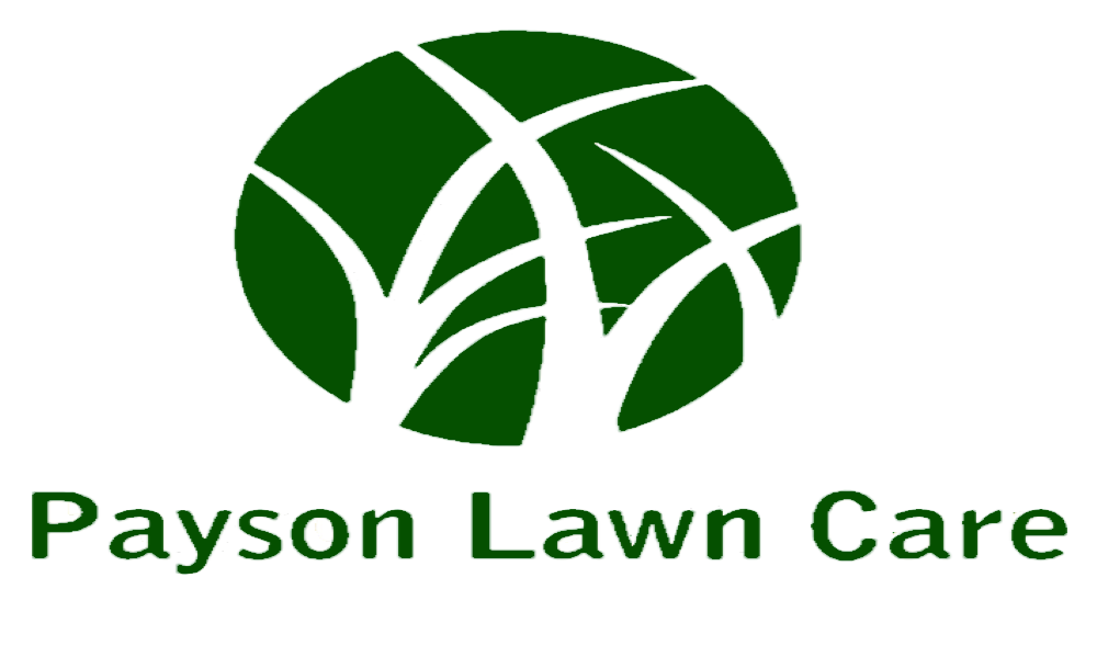 Professional lawn & yard care, at affordable prices!