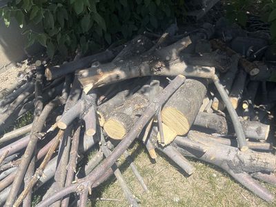 Ash tree wood