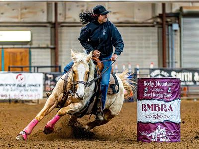 Pink/Ruby Buckle Barrel Horse