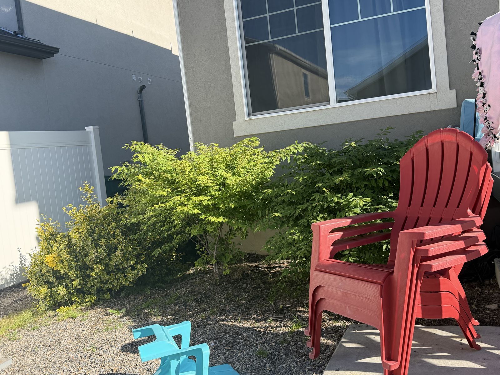 5 large bushes