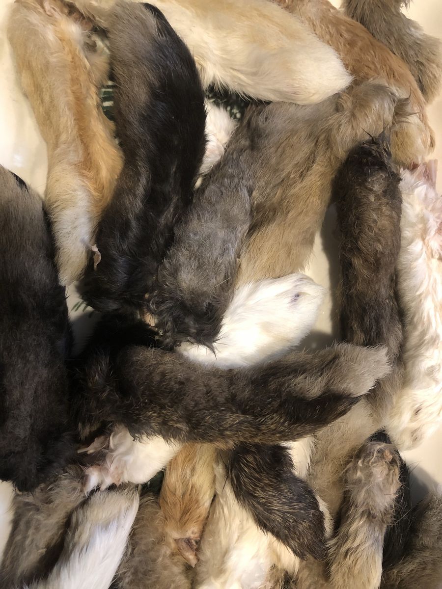 Rabbit Feet/Ears Dog Treats