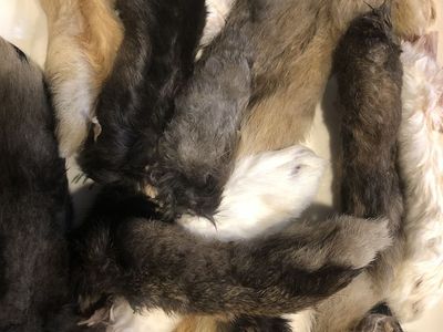 Rabbit Feet/Ears Dog Treats