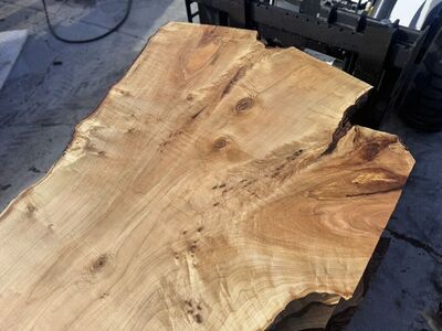 Live Edge Maple Slabs