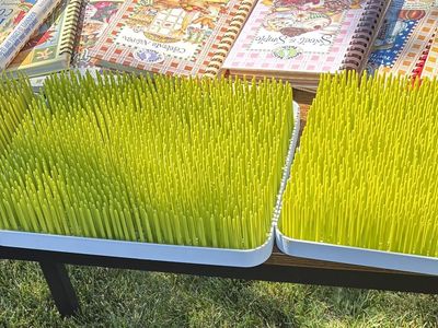Boon Bottle Drying Racks