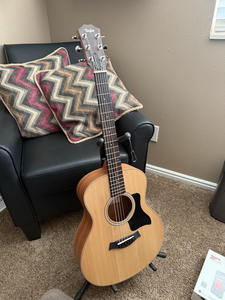 Taylor GS Mini Acoustic Guitar - Excellent Condition with Gig Bag