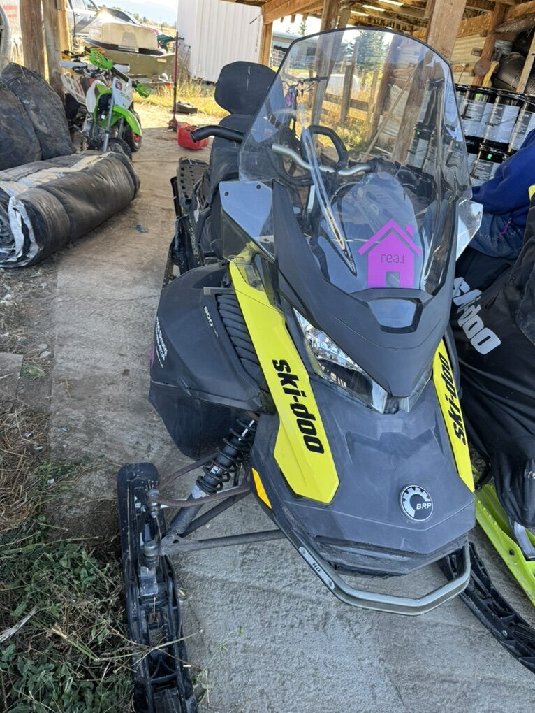 2020 Expedition LE 900ace