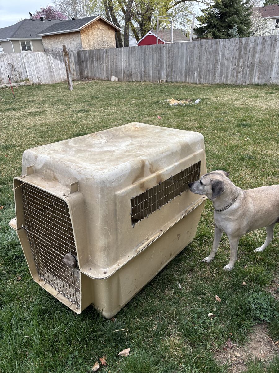 Extra Large Dog Crate