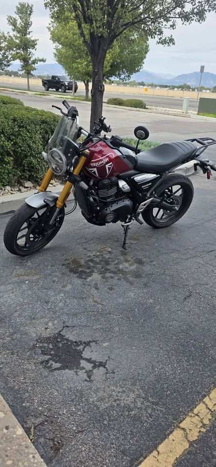 2024 Triumph Speed 400