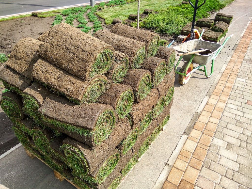 Fresh Sod - Sale Lake/Utah/Weber