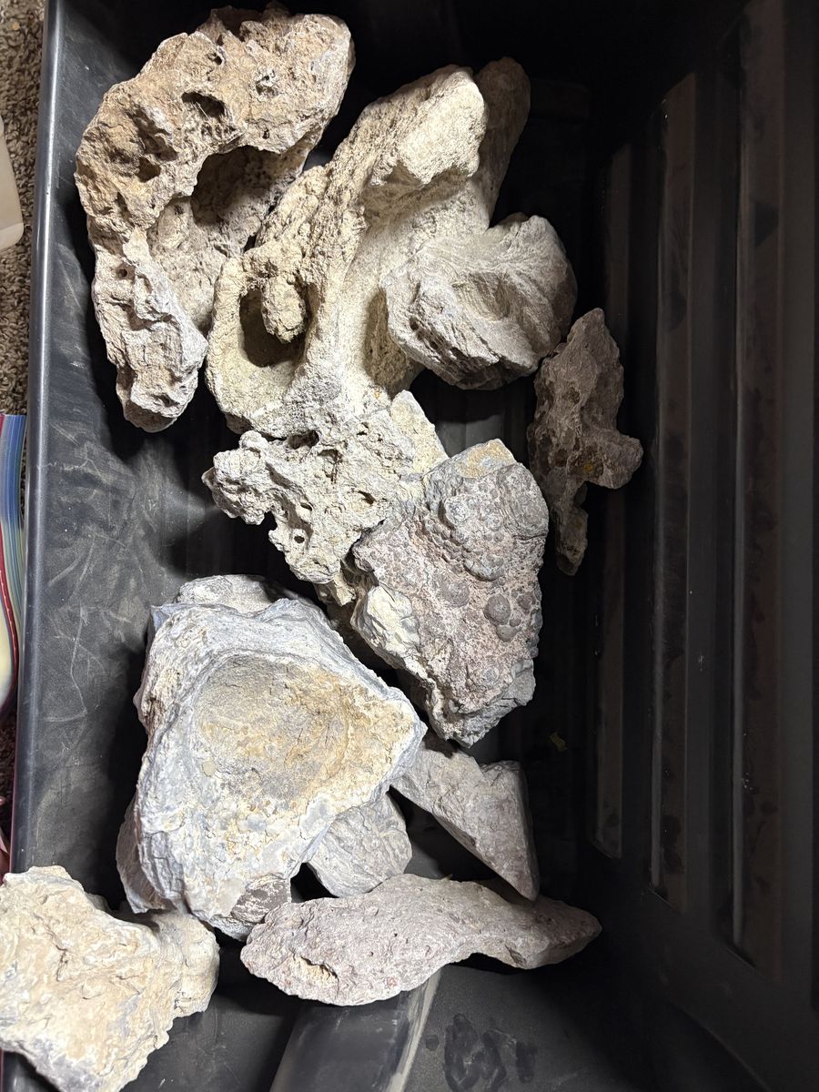 Aquarium rocks / decor