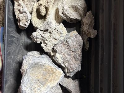 Aquarium rocks / decor