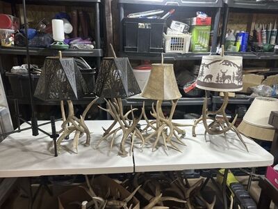 Deer Antler Lamps