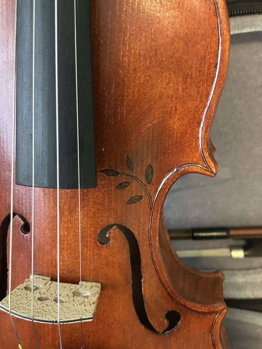 Violin
