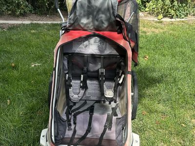 Chariot cougar double bike stroller