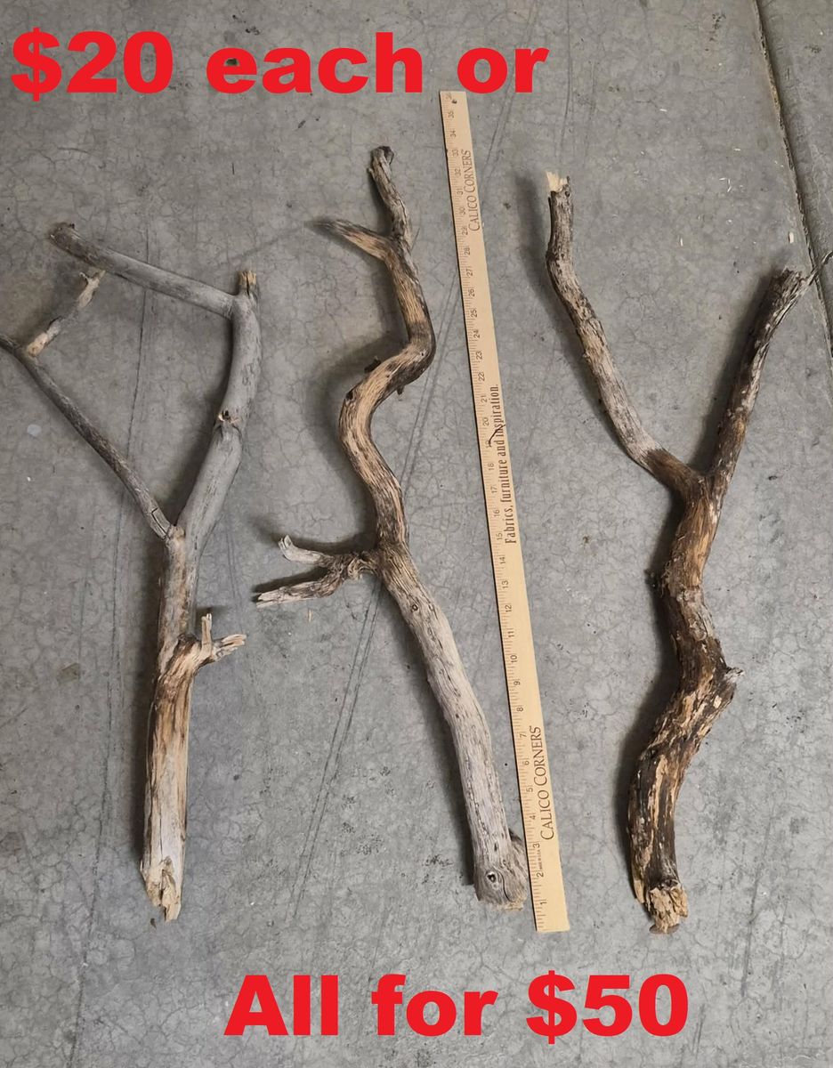 Medium Sized Aquarium Driftwood