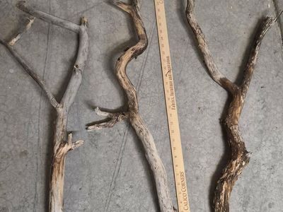 Medium Sized Aquarium Driftwood